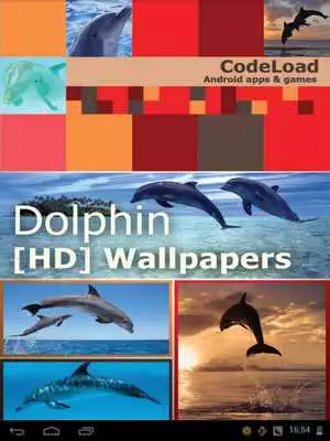 Play Dolphin [HD] Wallpapers